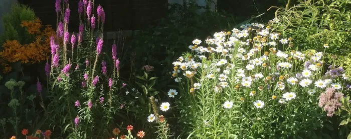 The Gardeners Landscape Picture 8