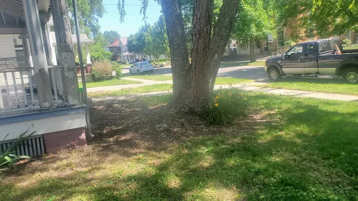 Roccia Landscaping Picture 2