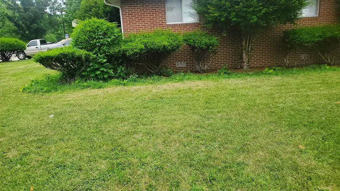Roccia Landscaping Picture 8
