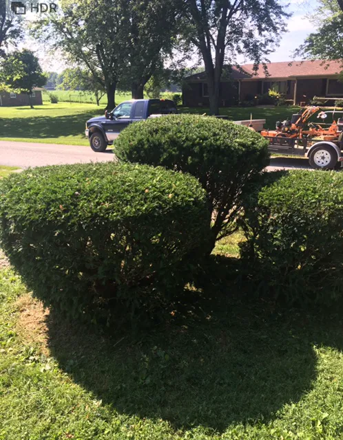 Jeff's Lawn Care Service Picture 2
