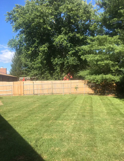 Jeff's Lawn Care Service Picture 3