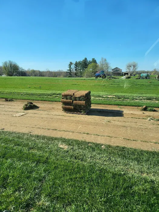 Clegg & Sons' Sod Farms, LLC Picture 8