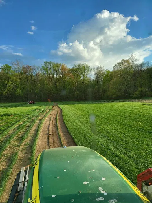 Clegg & Sons' Sod Farms, LLC Picture 3