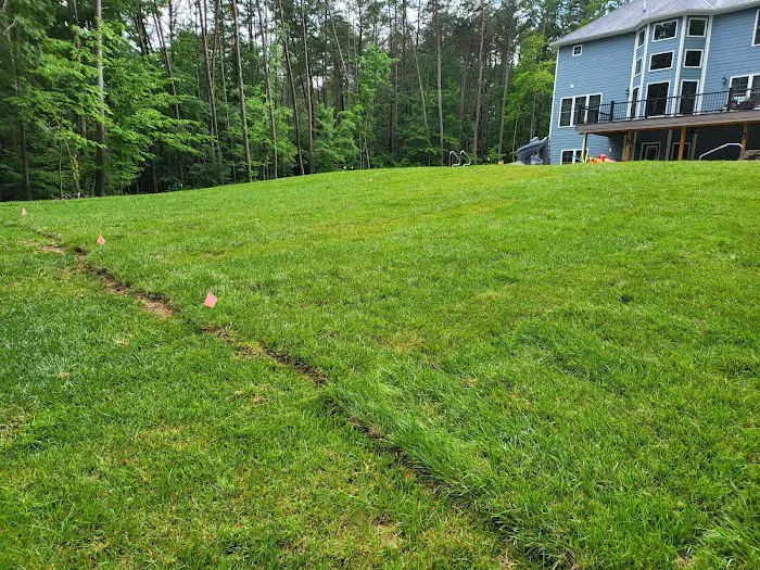Clegg & Sons' Sod Farms, LLC Picture 10