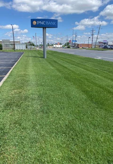 Green Geeks Lawn Care Picture 7