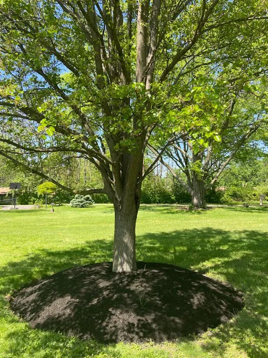 R&C Tree And Landscaping Picture 7
