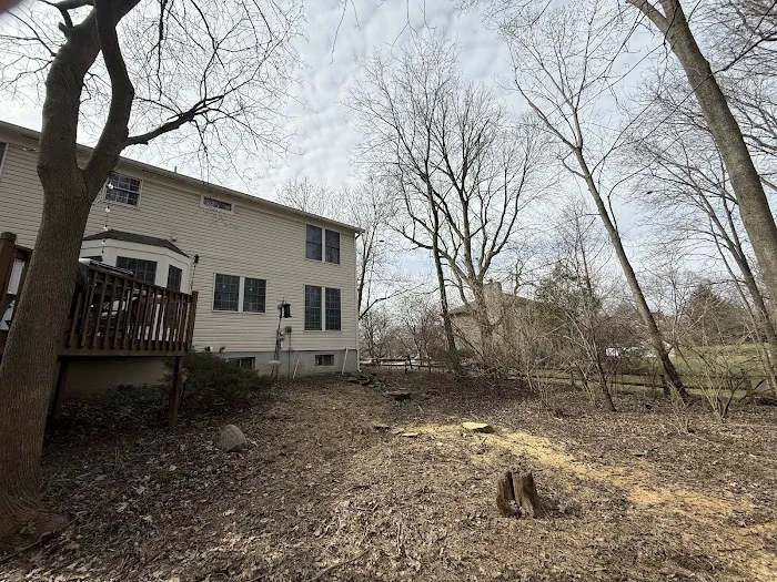 R&C Tree And Landscaping Picture 8