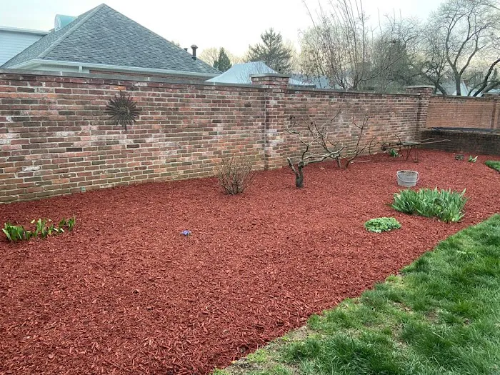 R&C Tree And Landscaping Picture 1