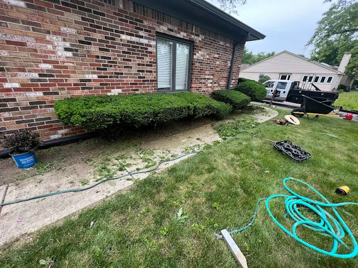 R&C Tree And Landscaping Picture 2