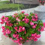 BrightView Landscapes