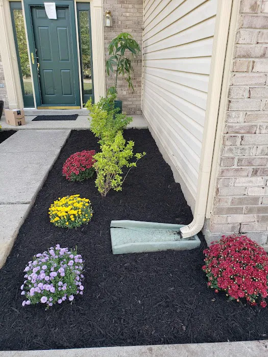 WL landscaping & cleaning Picture 2