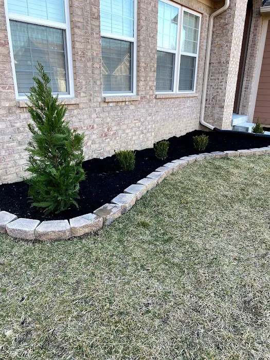 WL landscaping & cleaning Picture 4