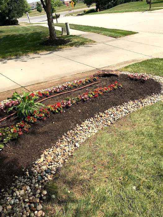 WL landscaping & cleaning Picture 10