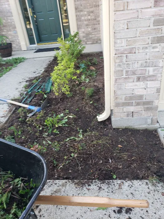 WL landscaping & cleaning Picture 3
