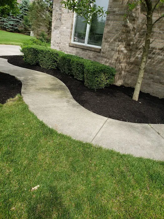 WL landscaping & cleaning Picture 5