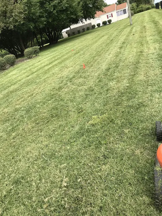 WL landscaping & cleaning Picture 9