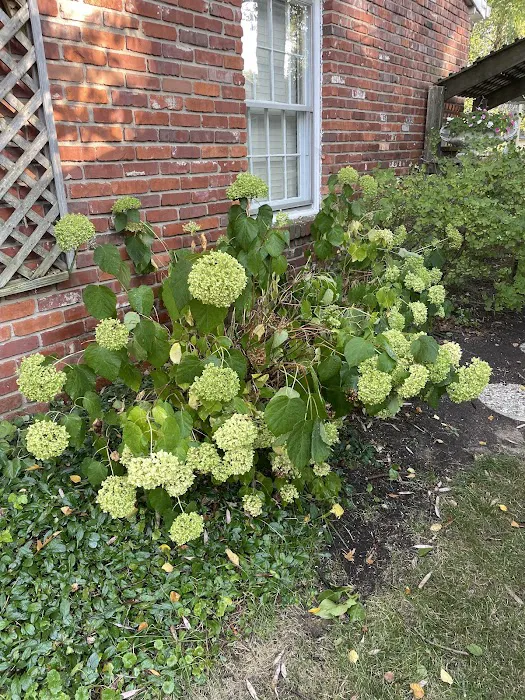WL landscaping & cleaning Picture 7