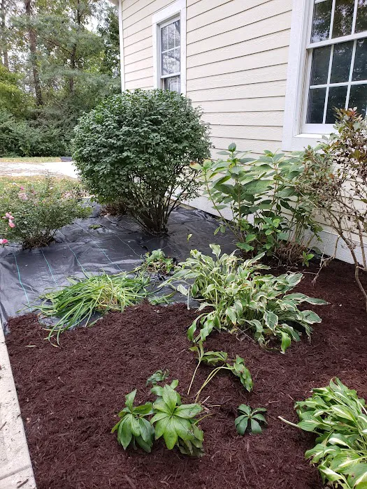 WL landscaping & cleaning Picture 8
