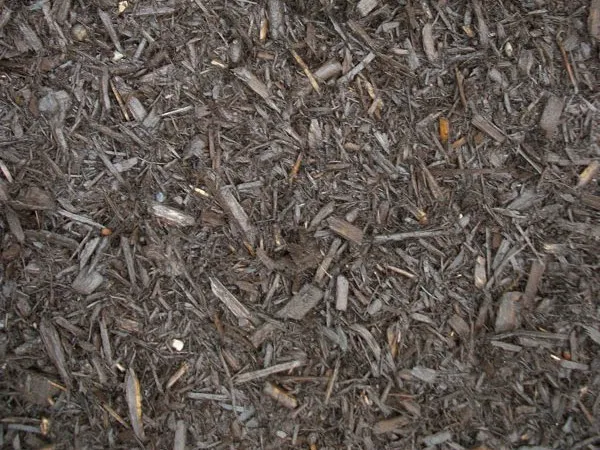 Ski Landscape Corporation Picture 6