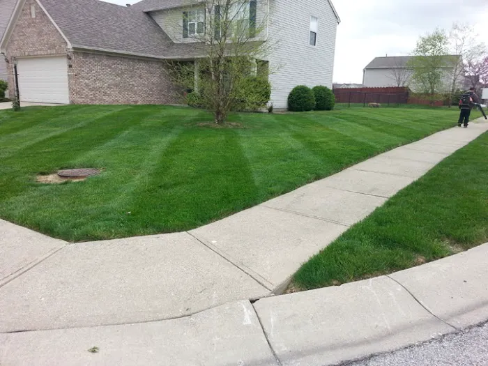A Cut Above Lawn Service Picture 3