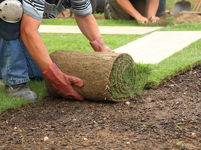 Turfmaster Lawn Maintenance, Inc. Picture 9
