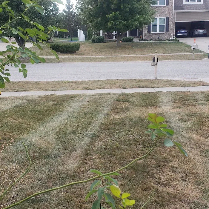 Turfmaster Lawn Maintenance, Inc. Picture 6