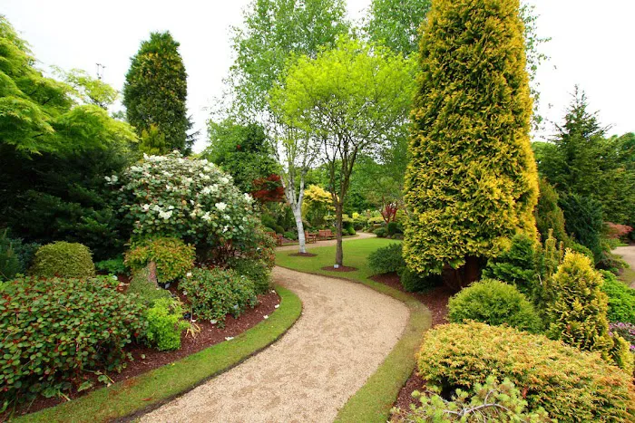 Turfmaster Lawn Maintenance, Inc. Picture 1