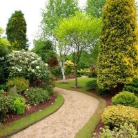 Turfmaster Lawn Maintenance, Inc. ico