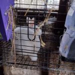 Mel Riley Landscaping