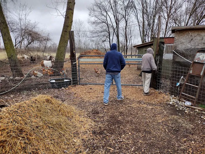 Mel Riley Landscaping Picture 9