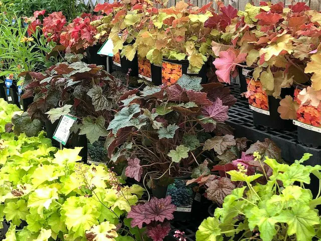 Mathies Landscaping Inc. Picture 2