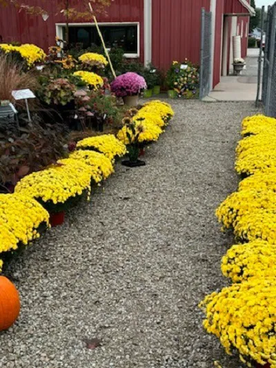 Mathies Landscaping Inc. Picture 7