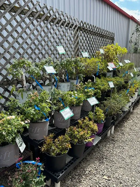 Mathies Landscaping Inc. Picture 4
