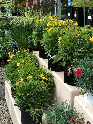 Mathies Landscaping Inc. Picture 6