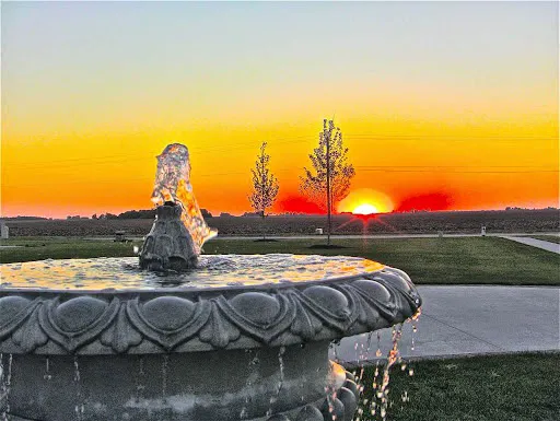 Custom Landscapes Picture 7