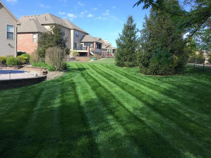 Luxury Lawn Care Picture 5