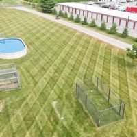 Luxury Lawn Care ico