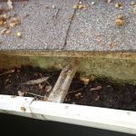 Mister Cleans Maintenance