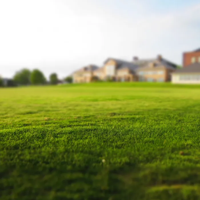 Gateway Lawn & Landscape Inc Picture 2