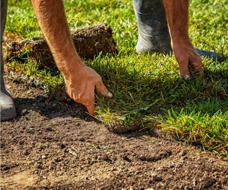 Gateway Lawn & Landscape Inc
