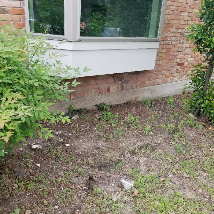 LawnStarter - St. Louis Landscaping Picture 8