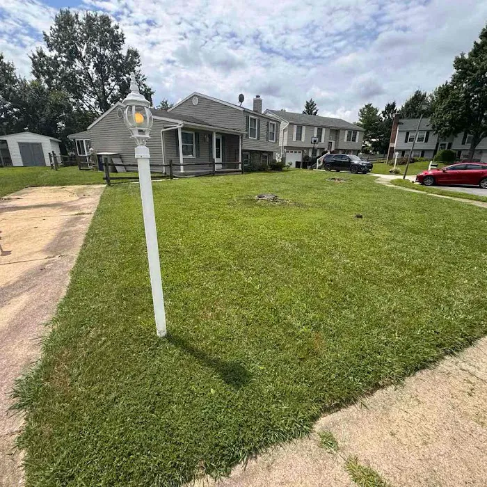 LawnStarter - St. Louis Landscaping Picture 9