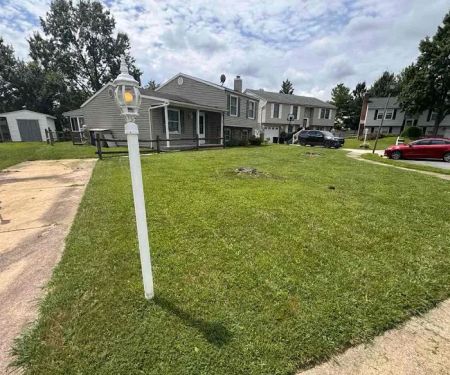 LawnStarter - St. Louis Landscaping
