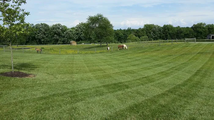 EPM Lawn Care Picture 4