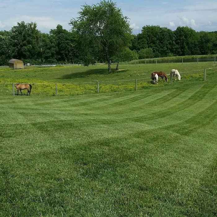 EPM Lawn Care Picture 3