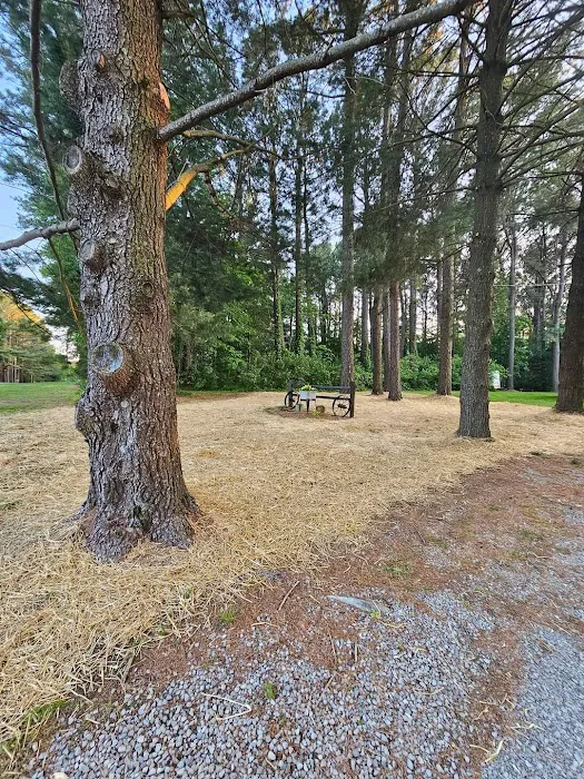 Lasting Impressions - Lawn and Landscape Picture 7