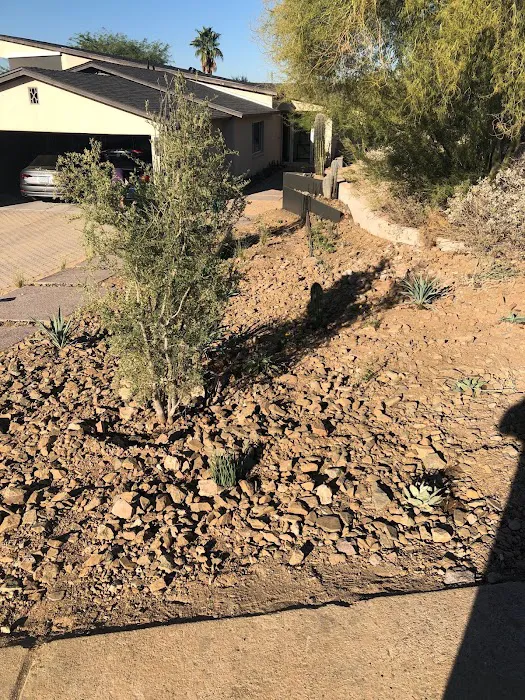 MM Landscaping and Design Picture 1