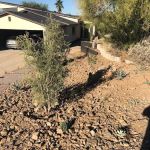 MM Landscaping and Design