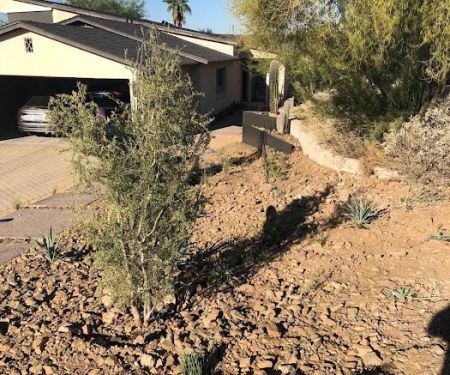 MM Landscaping and Design