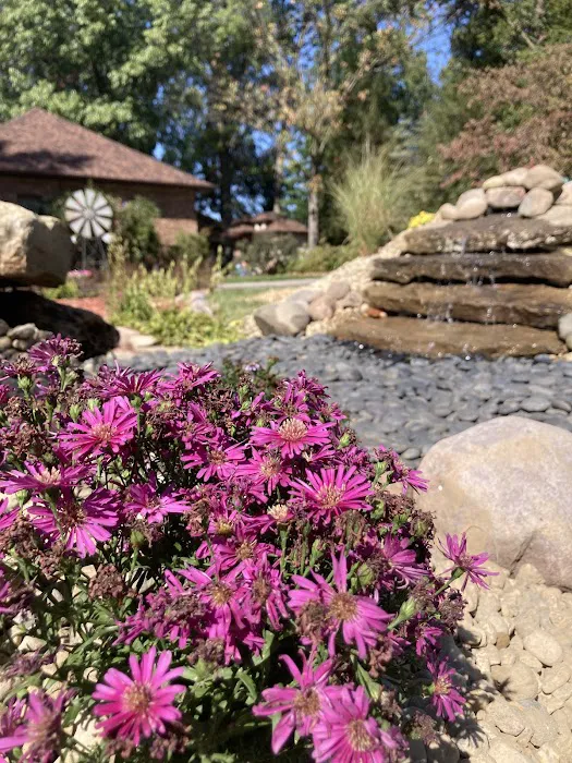 MM Landscaping and Design Picture 2